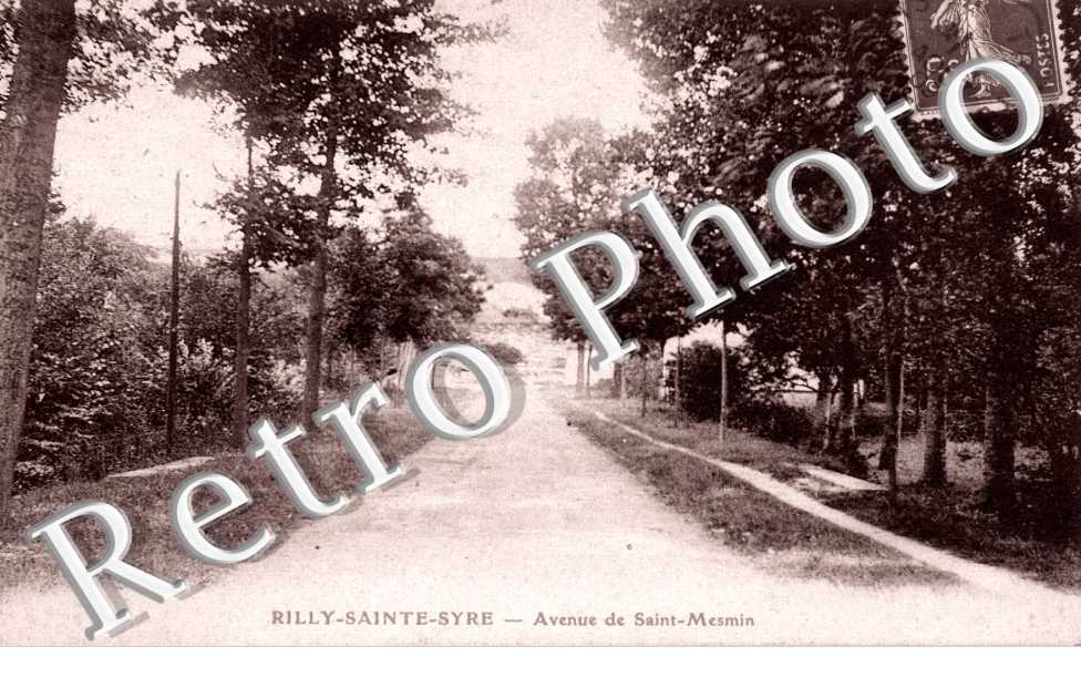 Avenue de Saint Mesmin