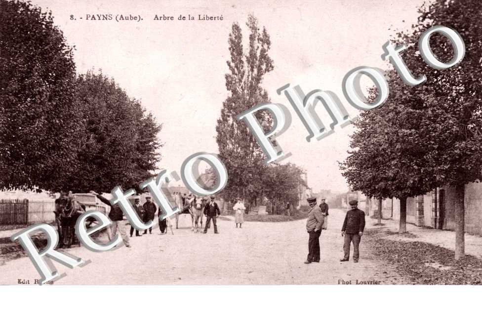 arbre de la liberte