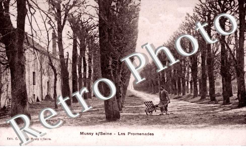 Les Promenades