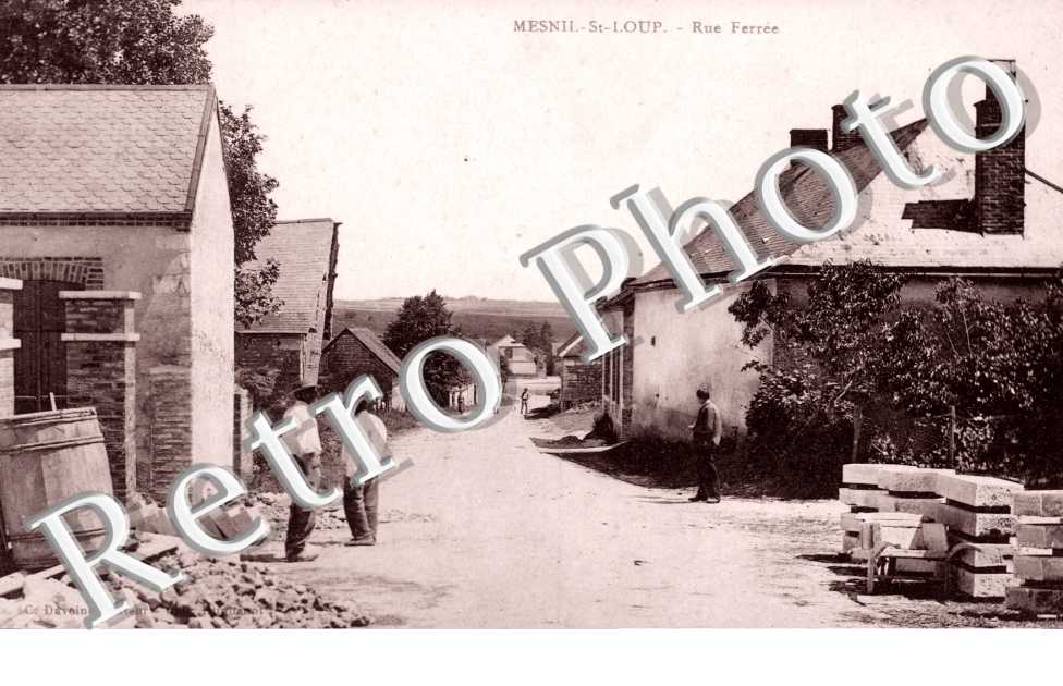 Rue Ferree