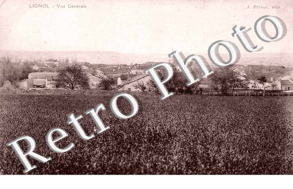 Vue générale 