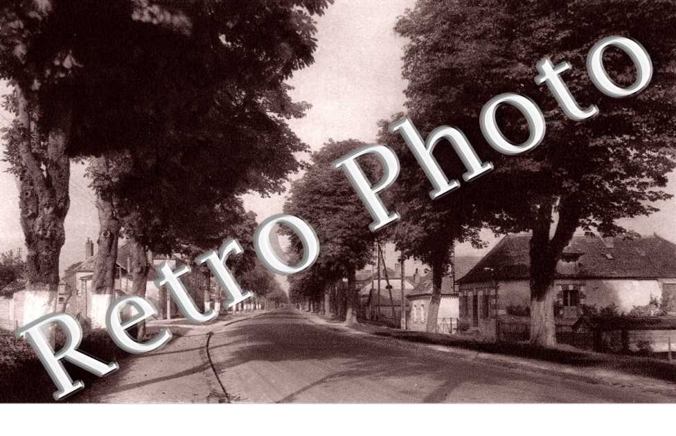 Avenue du Marechal Foch