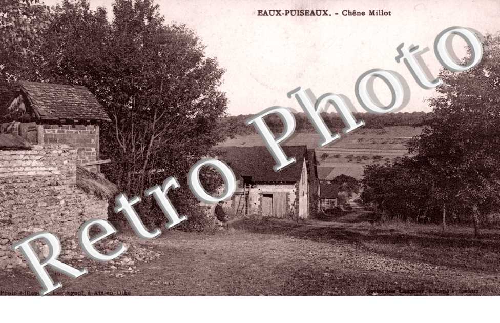 Chene Millot