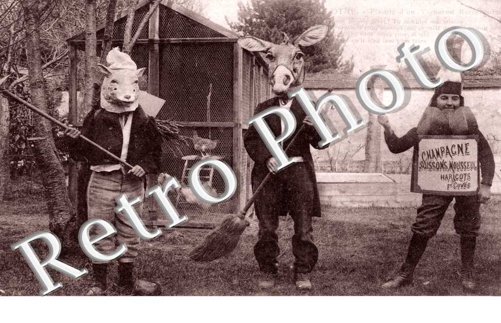 plainte d'un vigneron