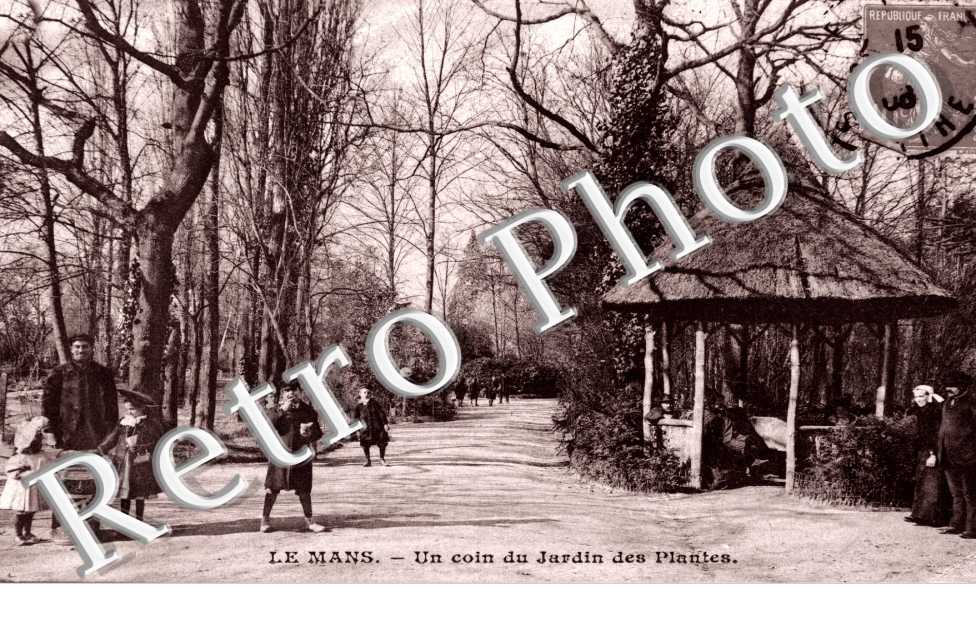 un coin du jardin des Plantes