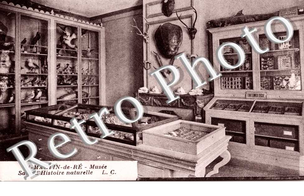 Musee Salle d'Histoire Naturelle