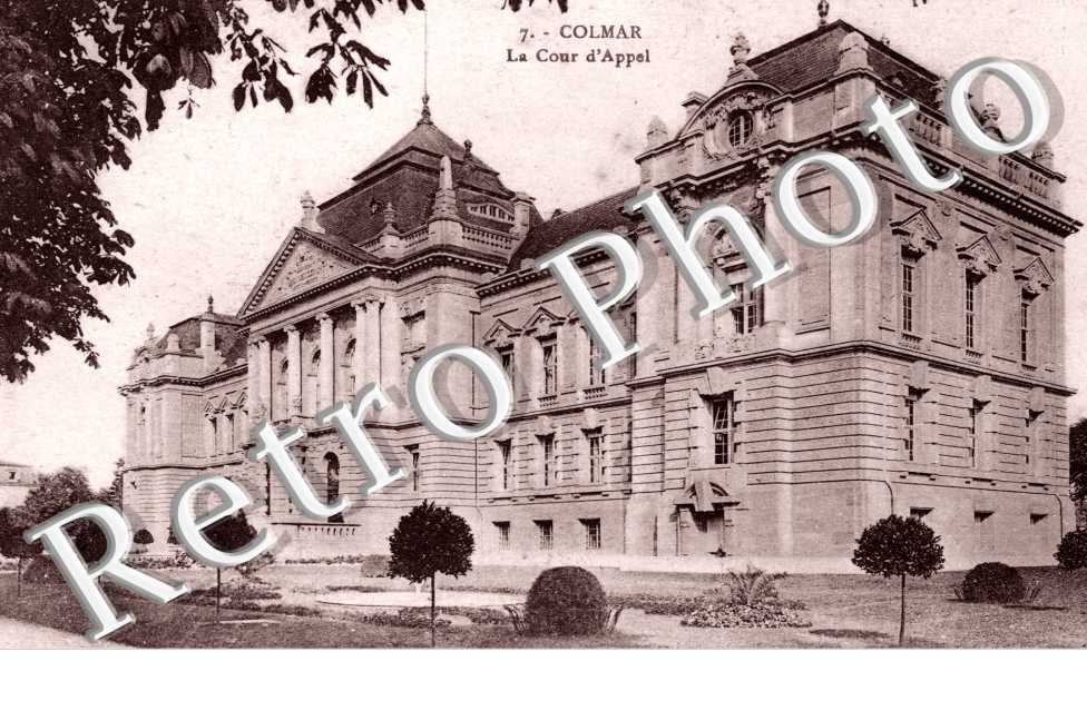 la Cour d'Appel