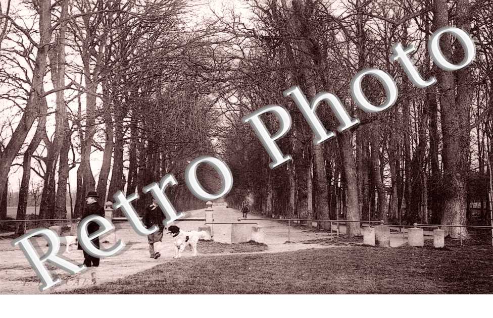 la Grand Cours