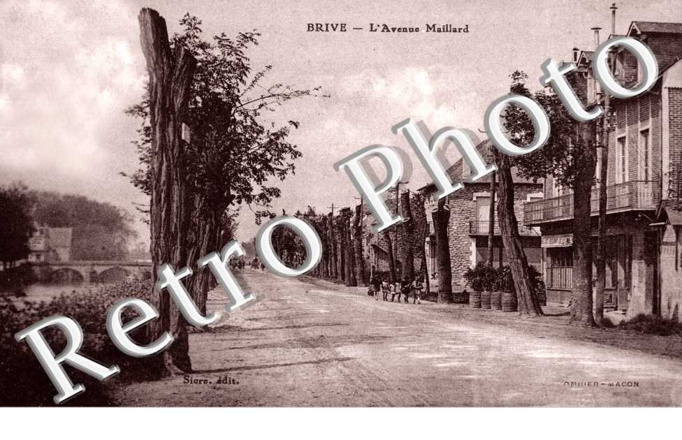 l'Avenue Maillard
