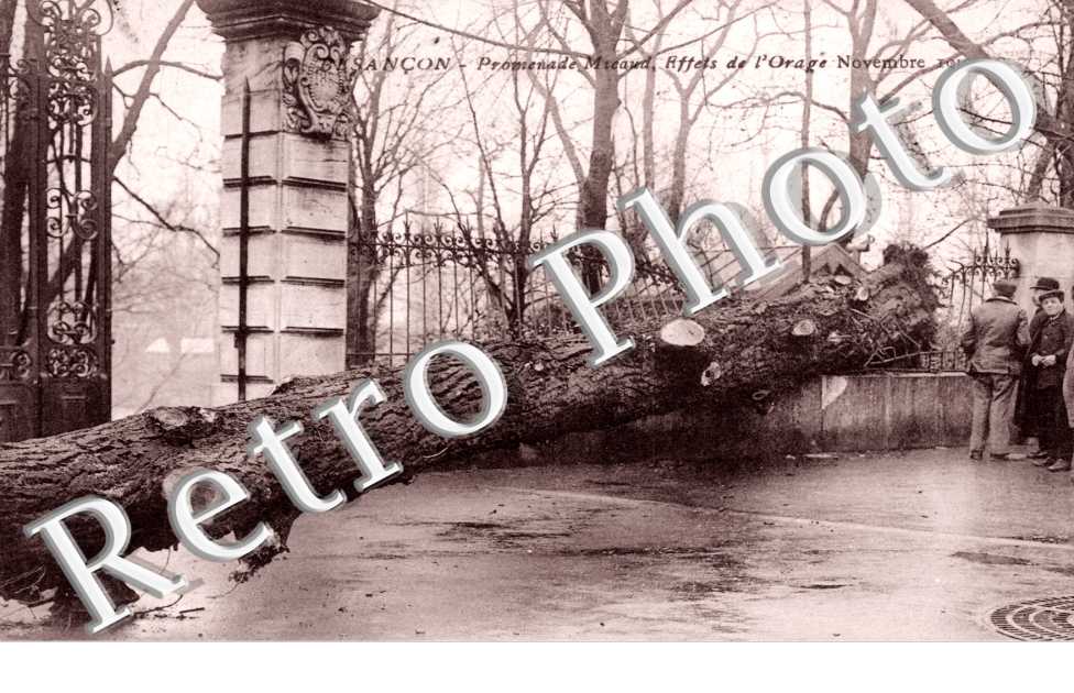 Promenade Micaut, Orage novembre 1910
