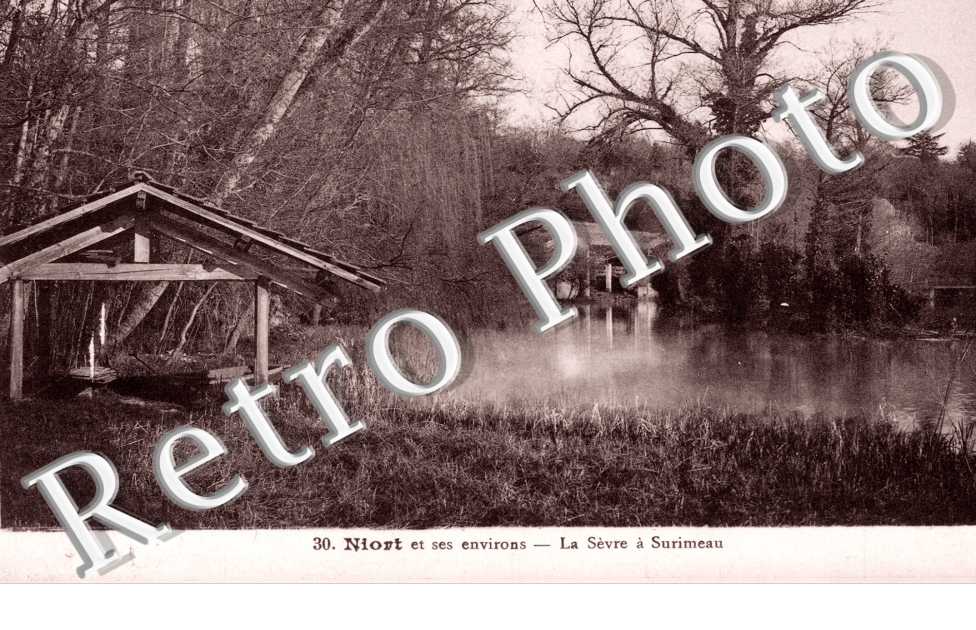 La Sèvre à Surimeau