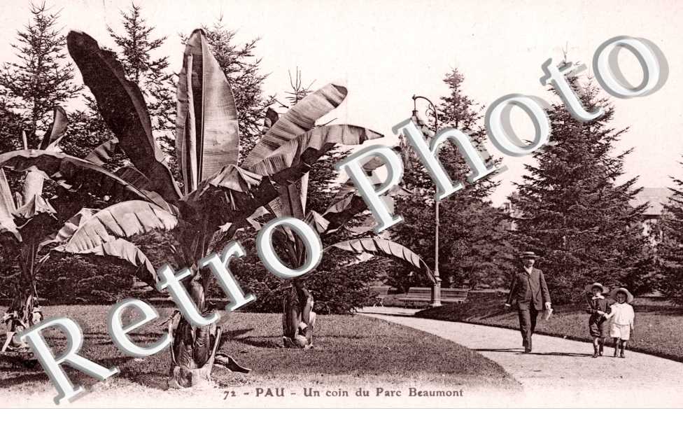 Un coin du parc Beaumont