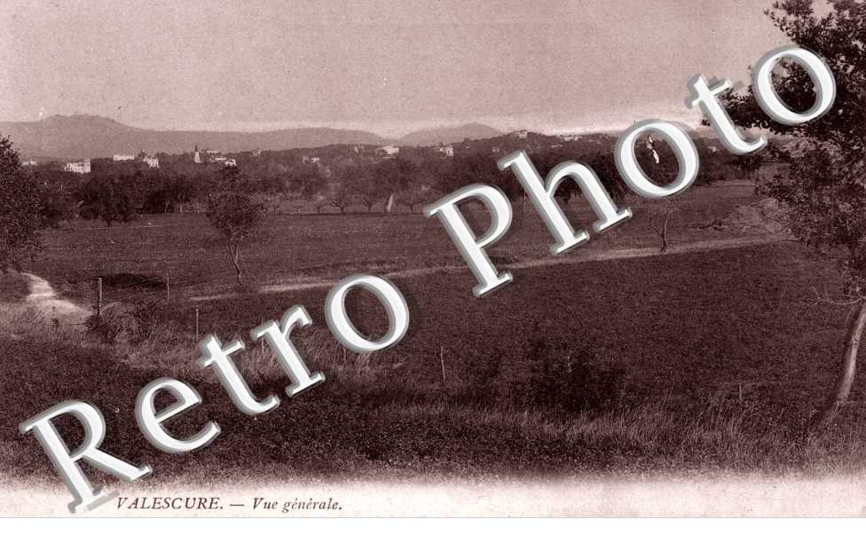 Valescure, vue generale