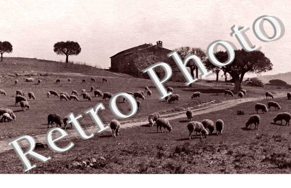 (Paysage champetre )