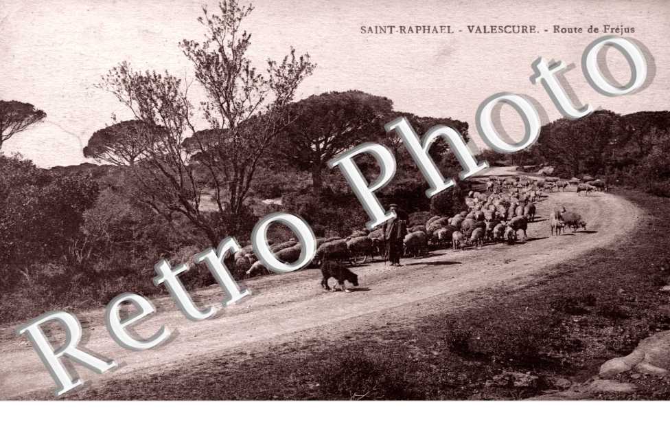 Route de Frejus