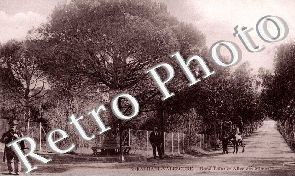 Rond point et allee des Mimosas