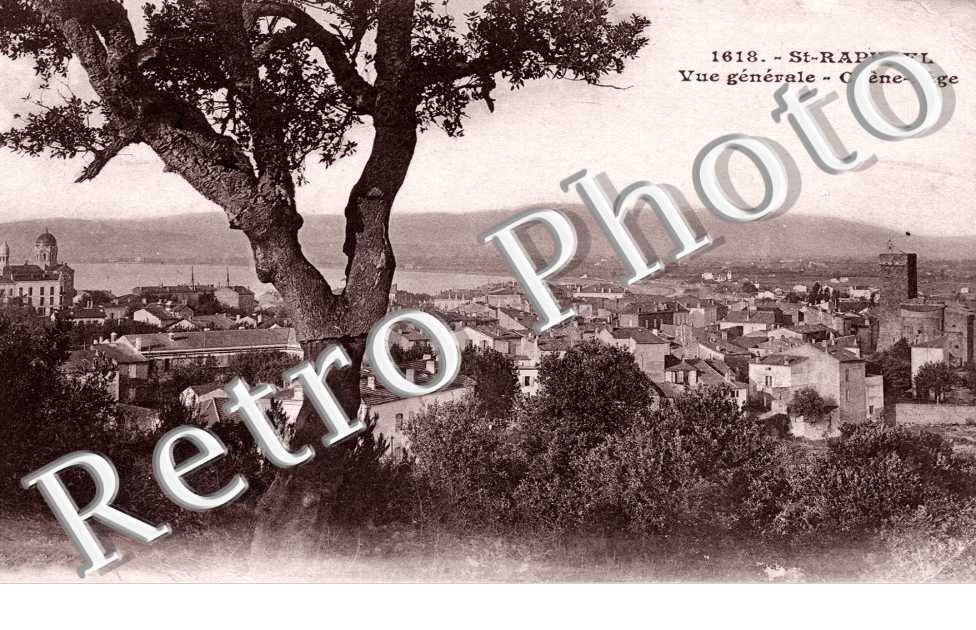 vue generale - chene liege