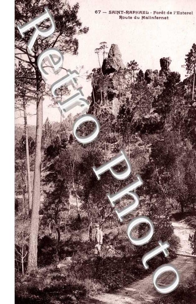 Foret de l'Esterel