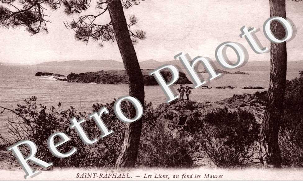les lions au fond des Maures