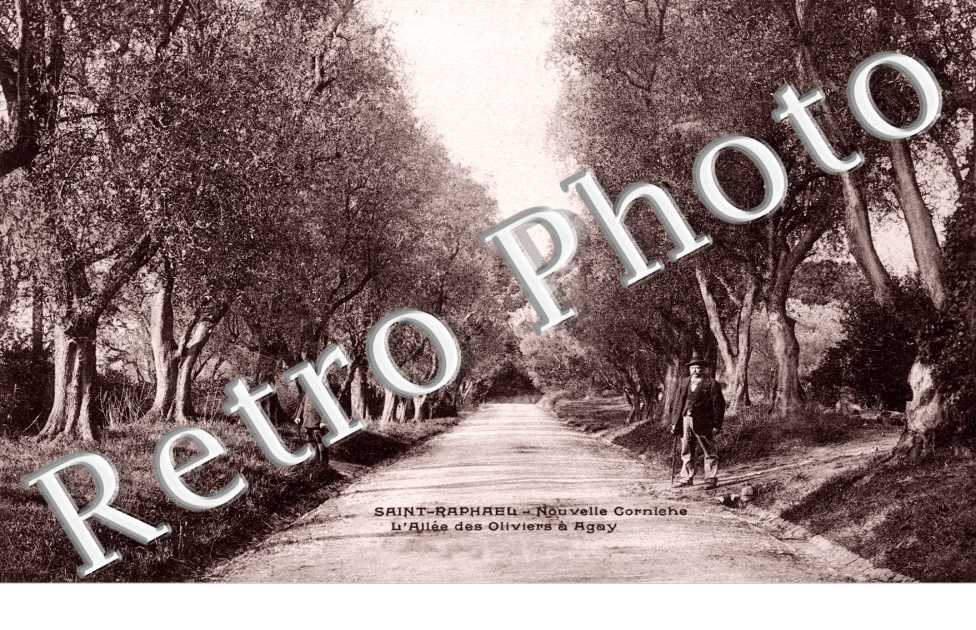 Allee des Oliviers