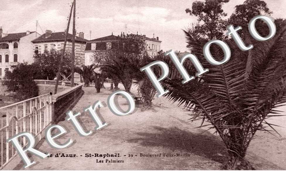 Boulevard Felix-Martin - les palmiers
