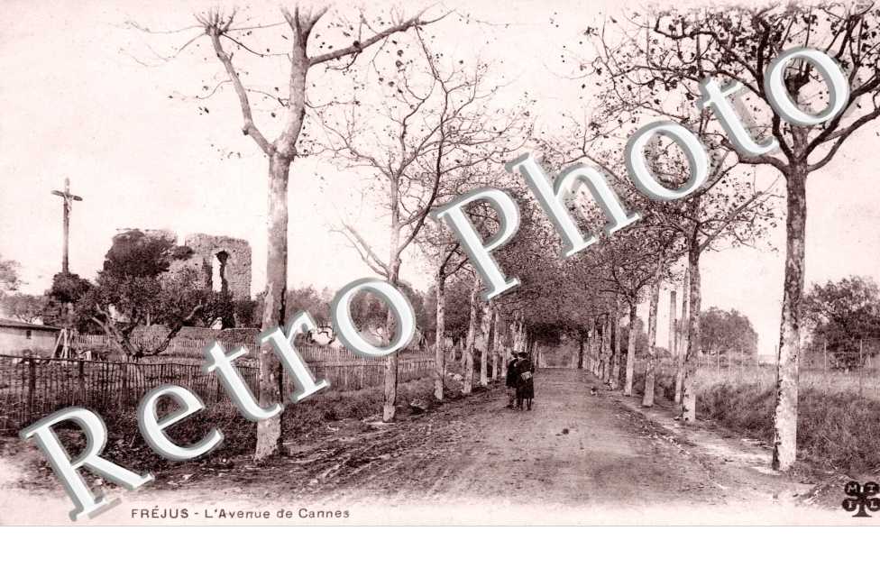 L'Avenue de Cannes