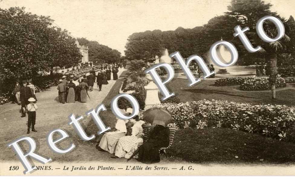 le jardin des plantes L'allee des serres