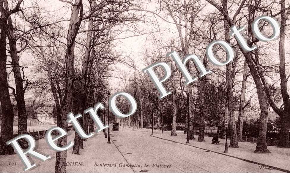 Boulevard Gambetta, les platanes