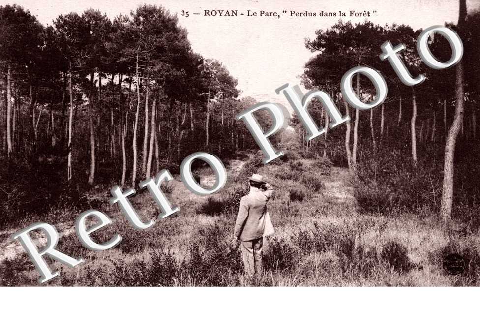 le parc - perdu dans la foret