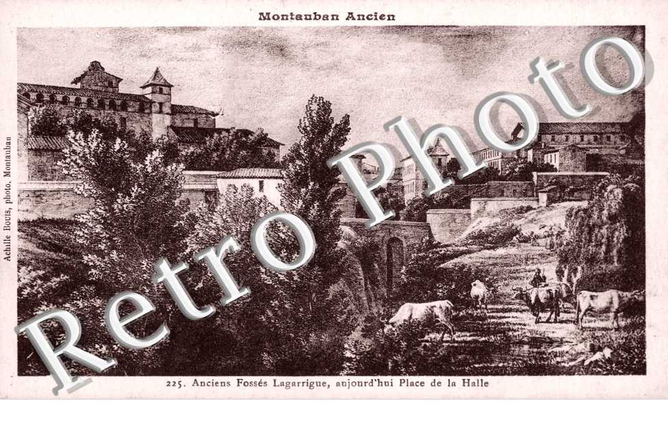 Anciens Fossees Lagarrigue