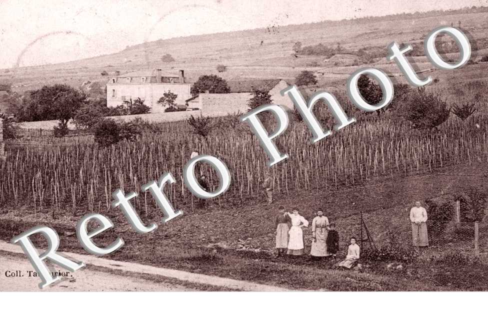 Maison Capitain Gagnerot et vignobles de Corton