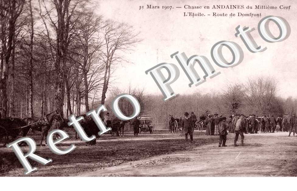 Chasse en Andaines du Militieme Cerf, l'Etoile, Route de Domfront