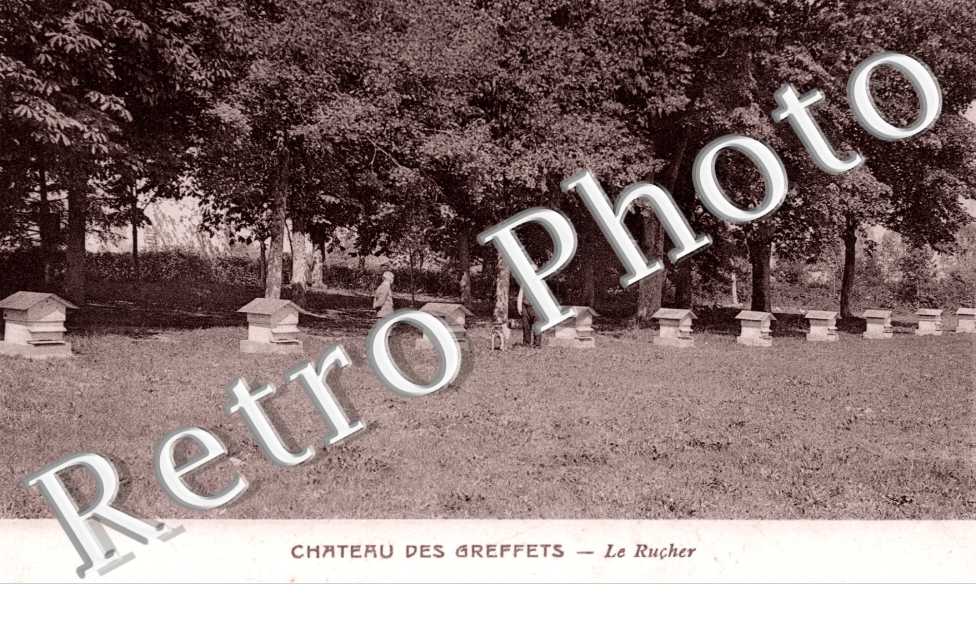 Chateau des Greffets, le Rucher