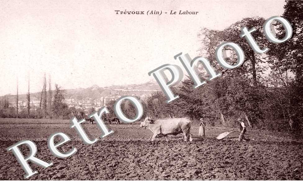 le Labour