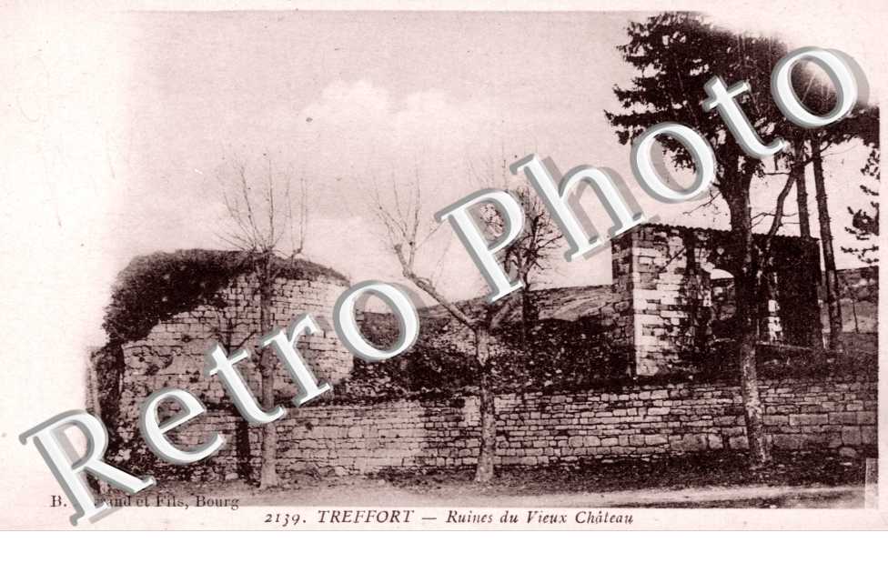 Treffort, Ruines du Vieux Chateau