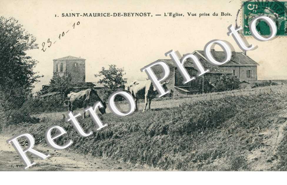 l'Eglise, Vue prise du Bois