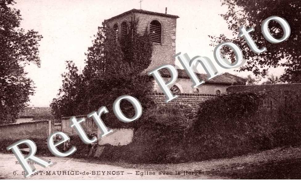 l'Eglise avec le lierre