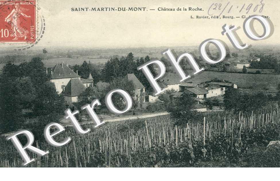 Chateau de la Roche