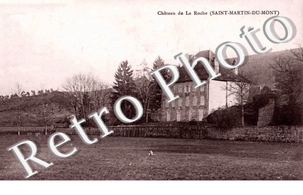 Chateau de la Roche