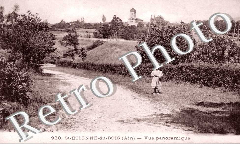 Vue Panoramique