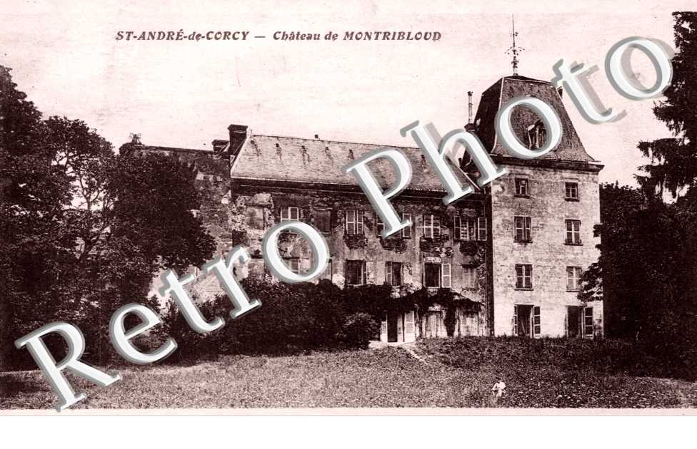 Chateau de Montribloud
