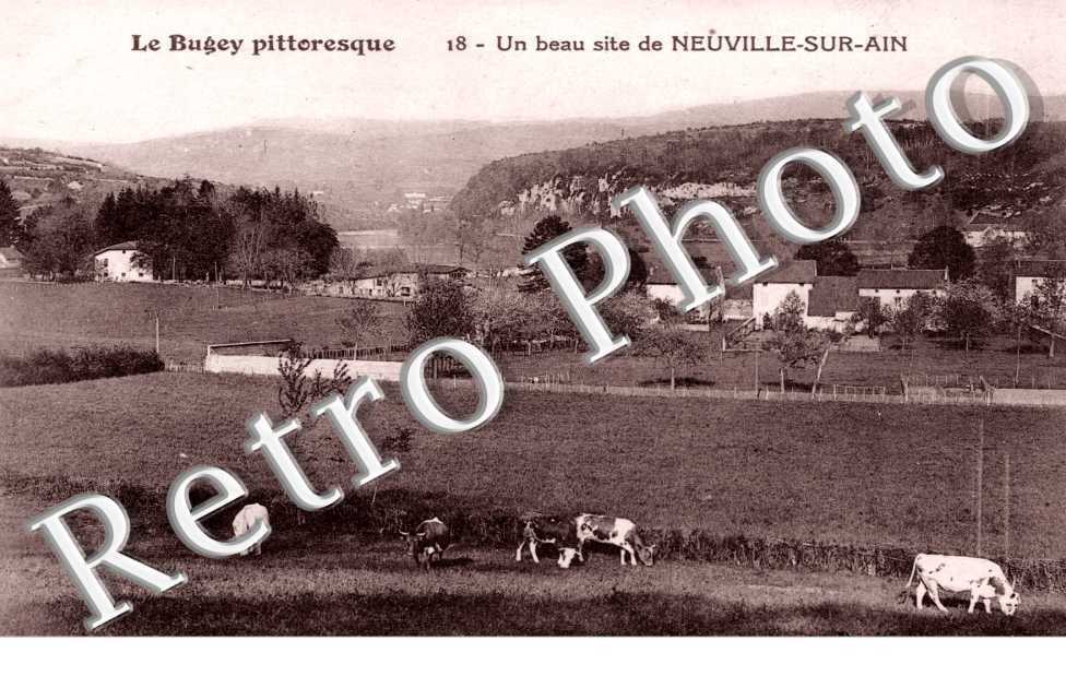 Un Beau Site de Neuville-sur-Ain