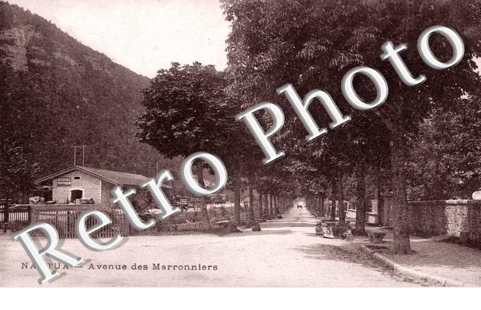 Avenue des Marroniers