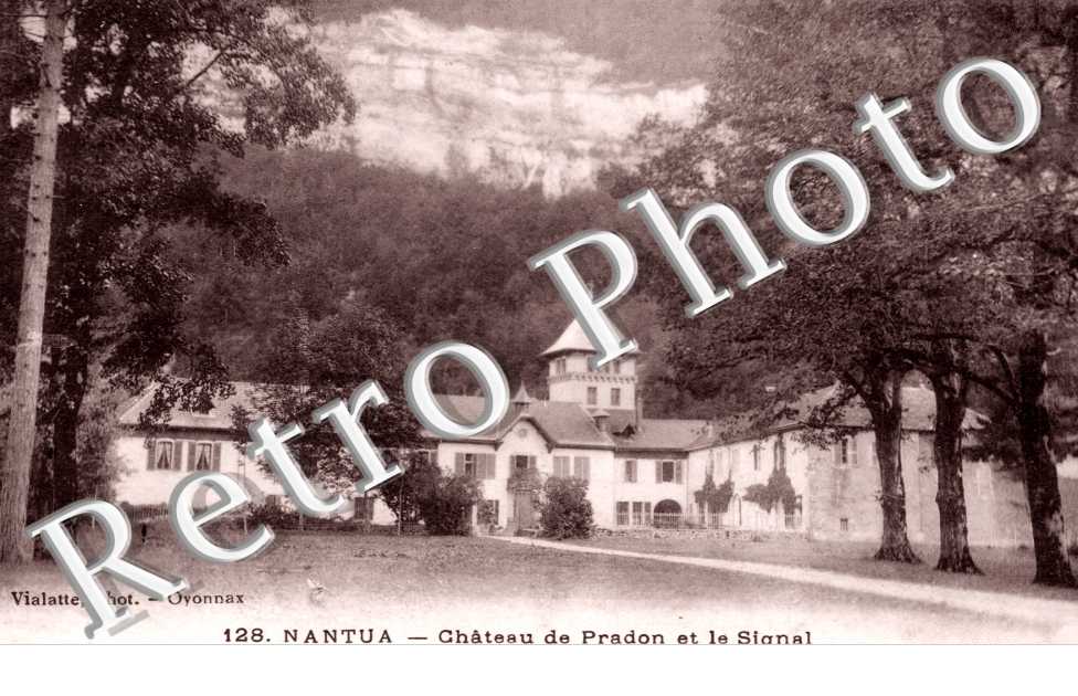 Chateau de Pradon et le Signal