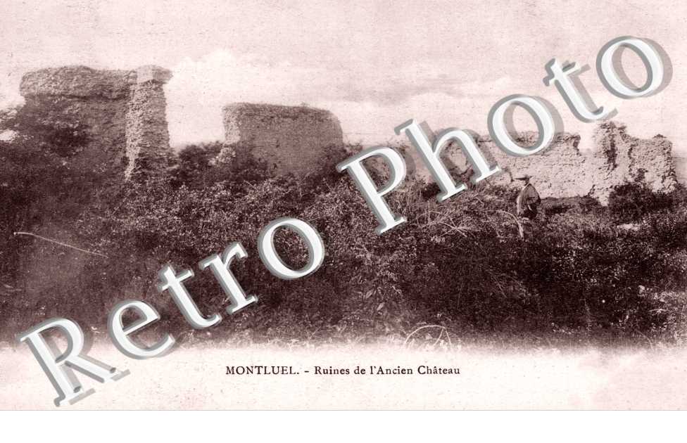 Ruines de l'Ancien Chateau