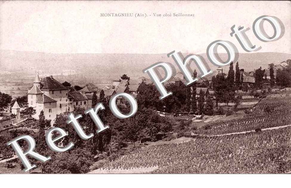 Vue Cote Seillonnaz