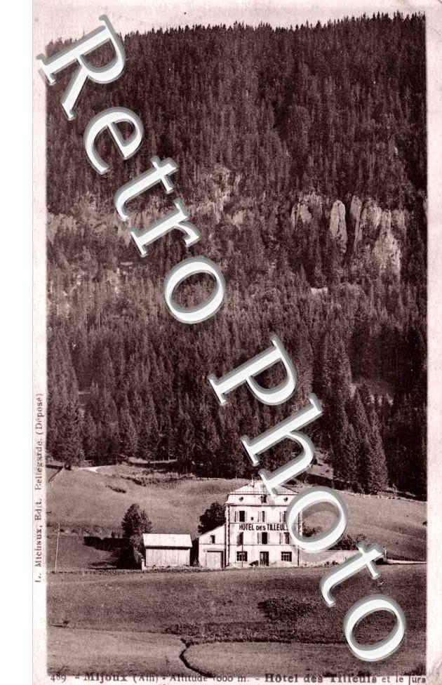 Hotel des Tilleuls et le Jura
