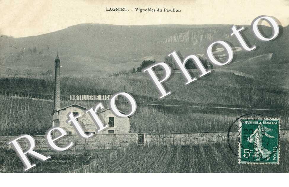 Vignobles du pavillon