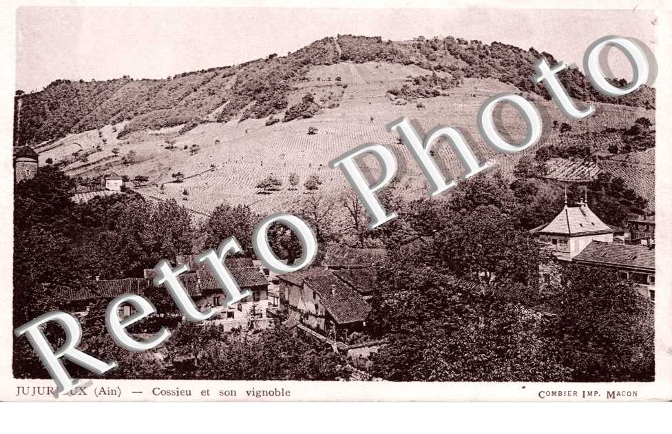 Cossieu et son Vignoble