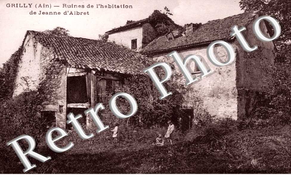 Ruines d'habitation de Jeanne d'Albret
